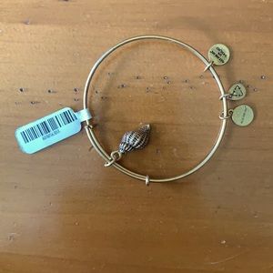 Alex and Ani expandable seashell bracelet,gold finish, seashell.